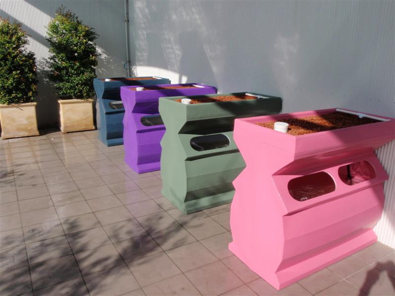 P7050123 (Medium).JPG