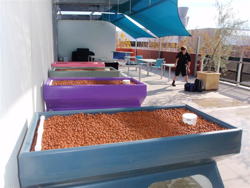 P7050124 (Medium).JPG