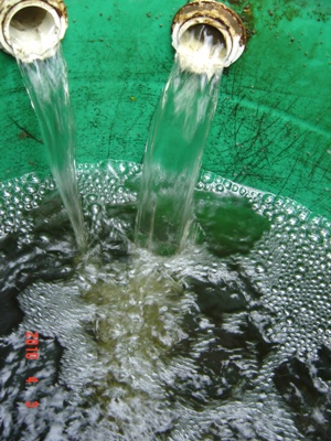 flow into pump sump.JPG