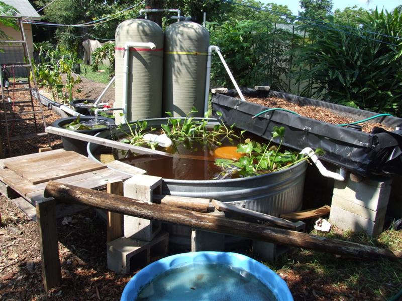 Duck system (Medium).JPG