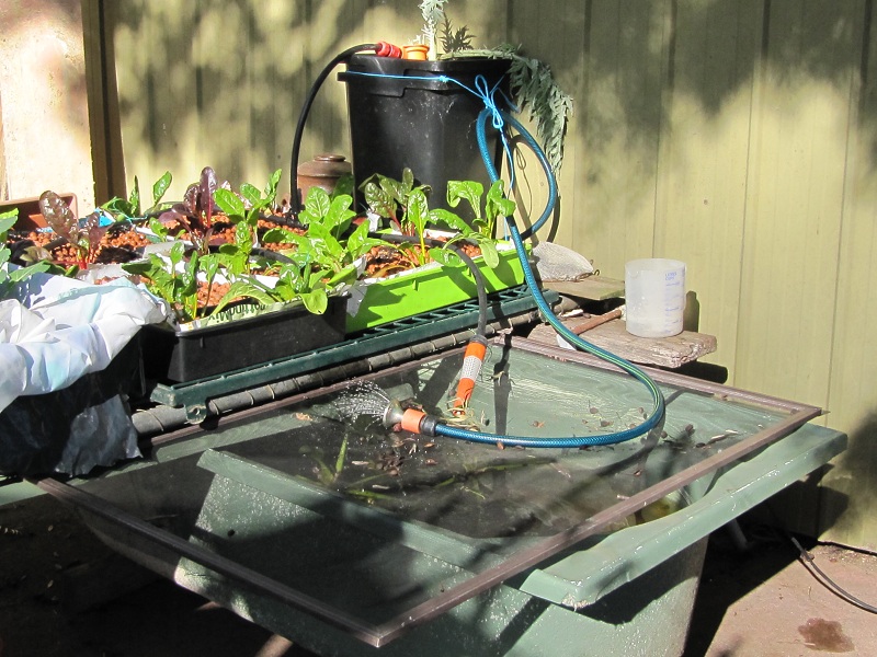 small system July 13th 2010.jpg