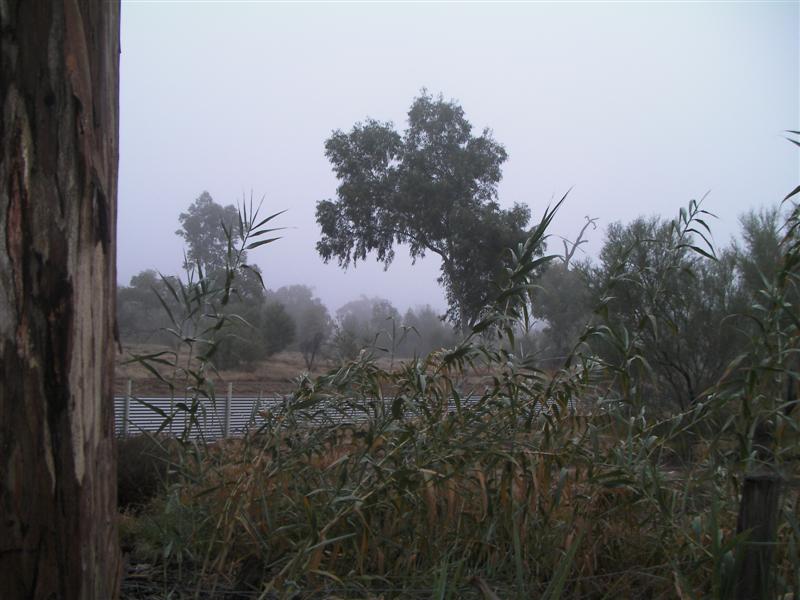fog 002 (Medium).jpg