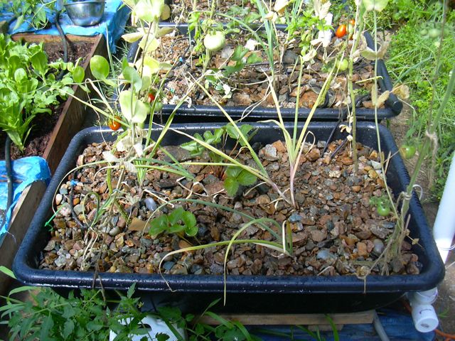 GB 1 July 12, 2010.jpg