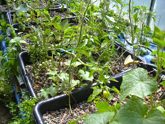 GB 6 July 12, 2010.jpg