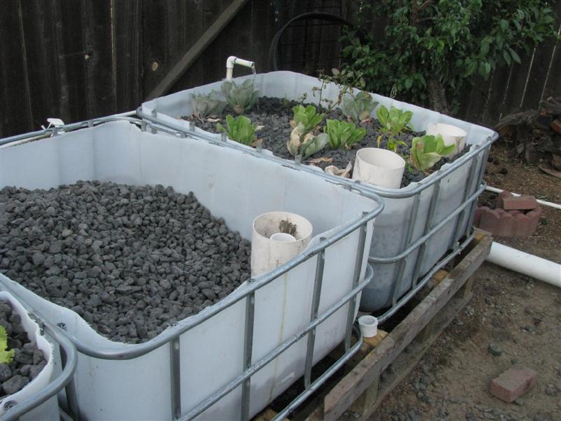 IMG_4252 (Medium).JPG