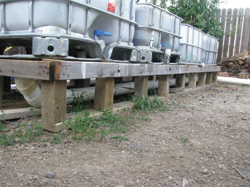 IMG_4253 (Medium).JPG