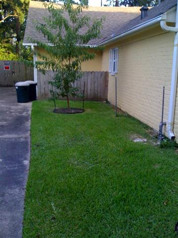 graywatersite (Small).jpg