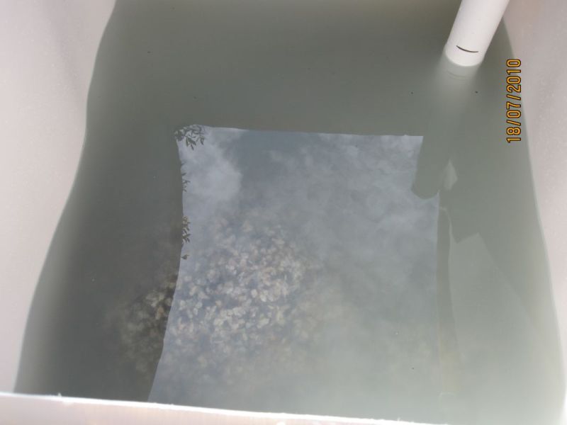 Still Dirty_reduced.jpg