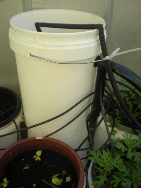 Picture 300 (450 x 600).jpg