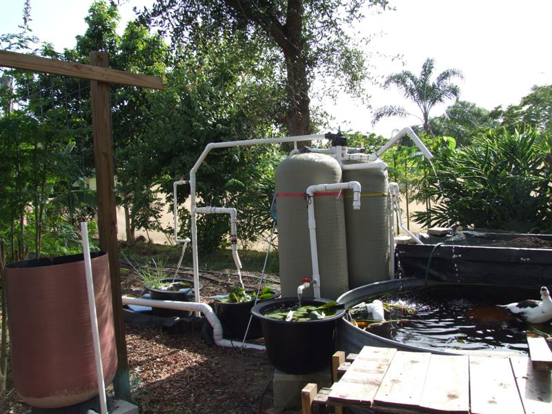 PLART 2 (Medium).JPG