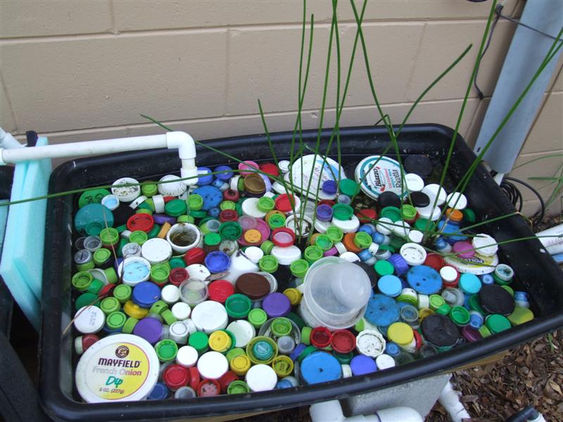 Bottle Caps (Medium).JPG