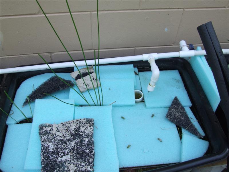 Floating foam (Medium).JPG