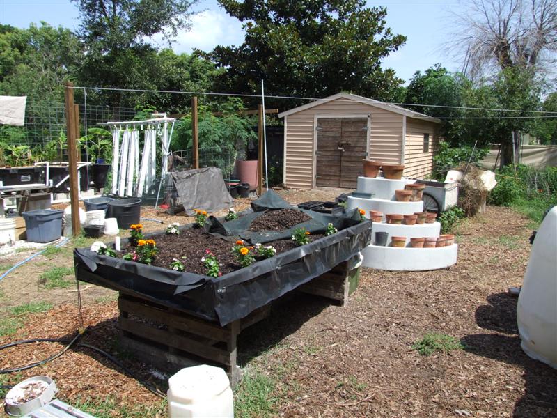 Wicking bed from old leaky grow bed (Medium).JPG