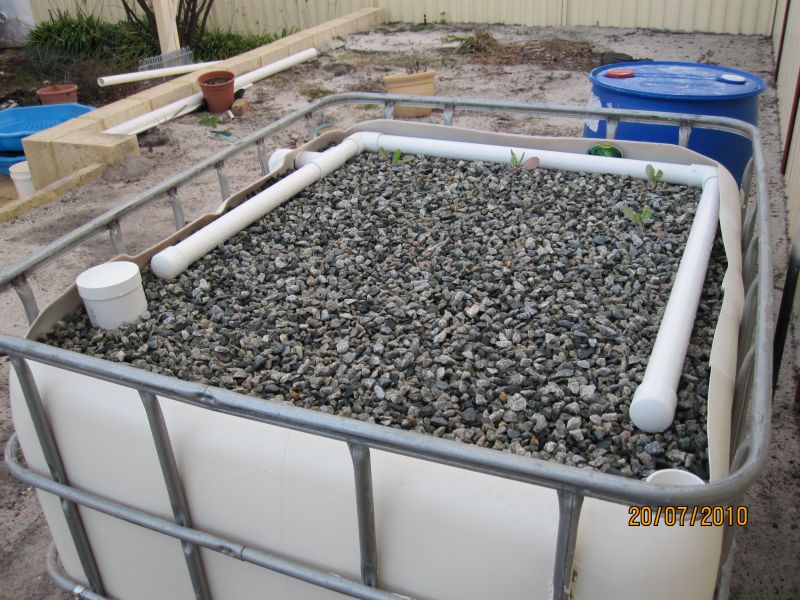 1st GB filled_reduced.jpg