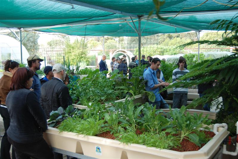 20100724_68 (Medium).JPG