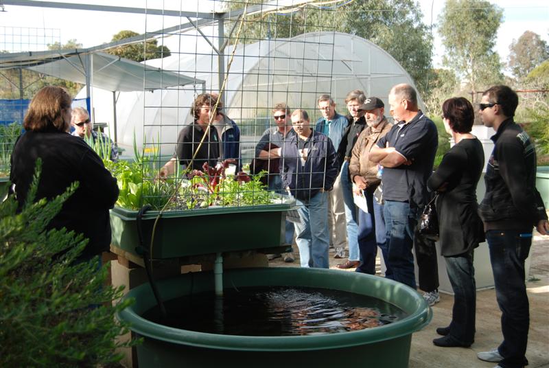 20100724_61 (Medium).JPG