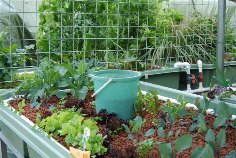 20100724_54 (Medium).JPG