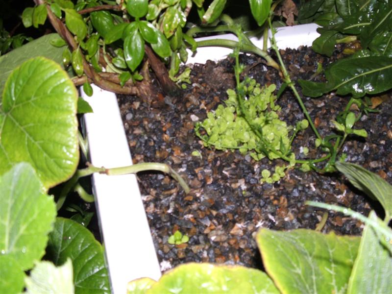 DSCF3741 (Medium) (2).JPG