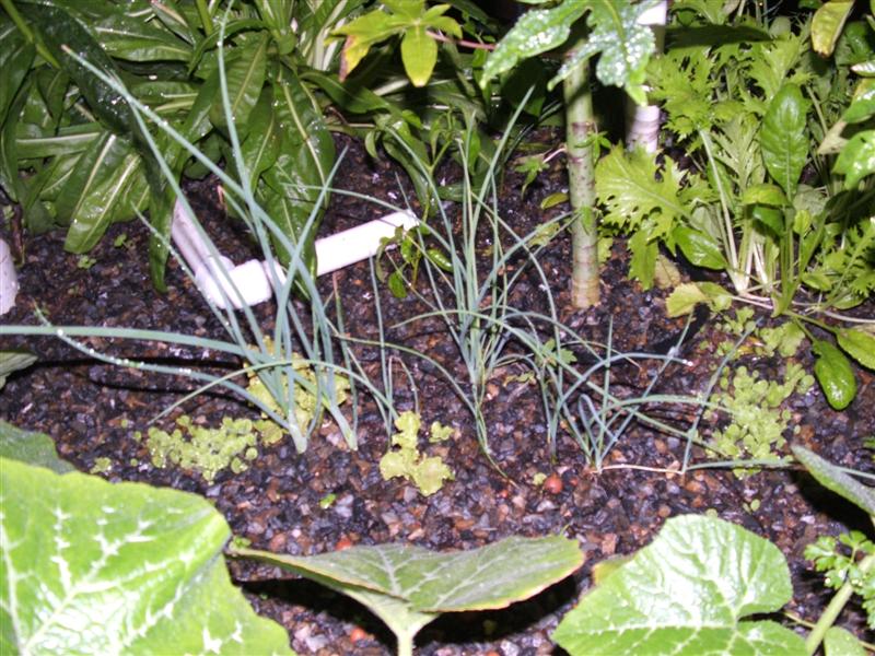 DSCF3740 (Medium).JPG