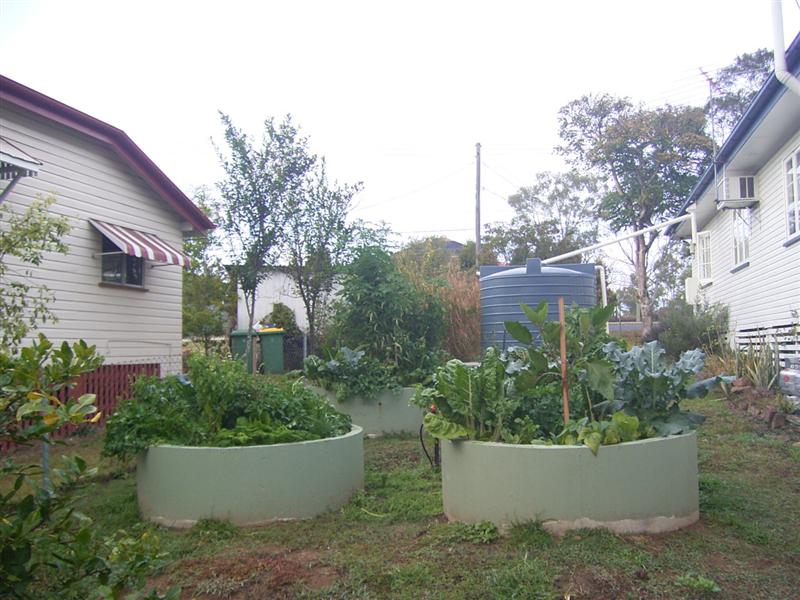 Raised Bed Garden 1 (Medium).jpg