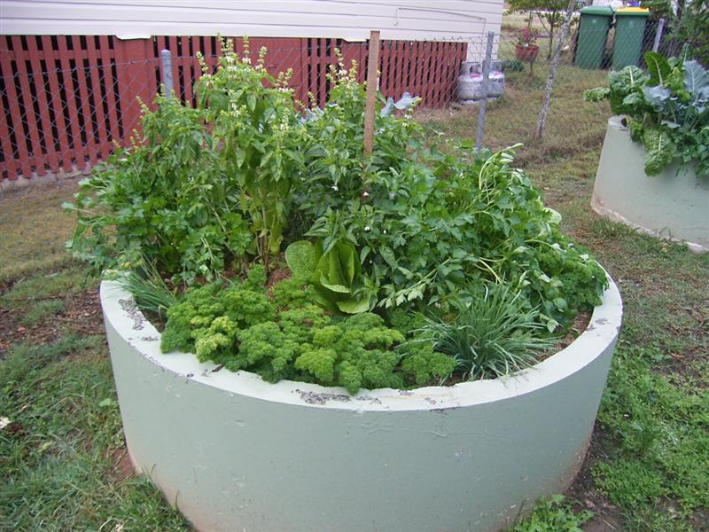 Raised Bed Garden 5 (Medium).jpg