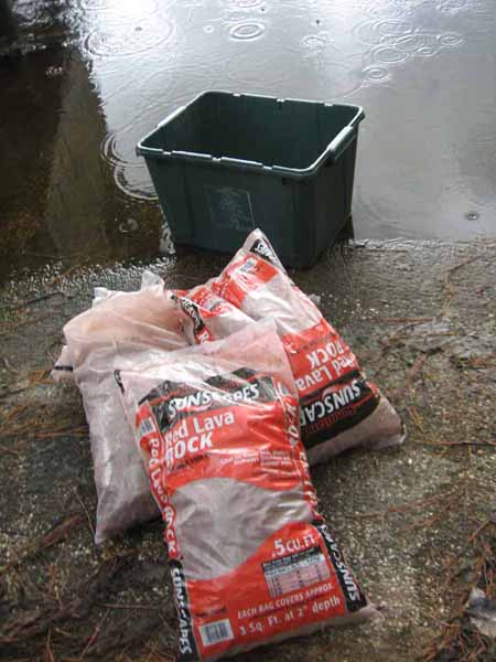 2010 Jul 24_4539.jpg