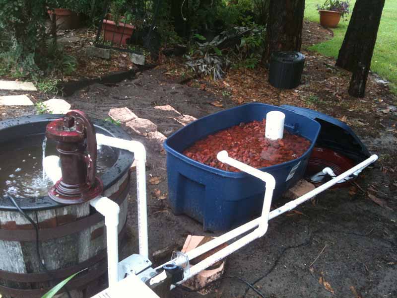 2010 Jul 23_3664.jpg