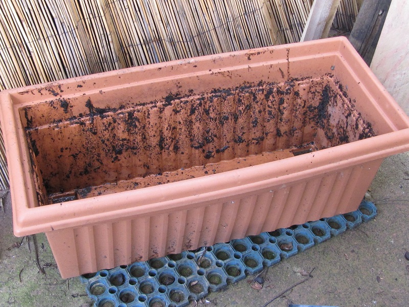 wicking planter box 1 July 2010.jpg