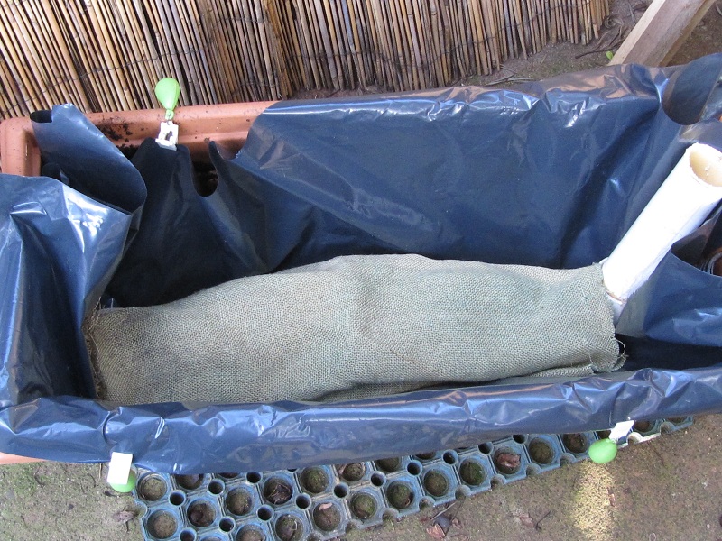 wicking planter 5 hession cover.jpg