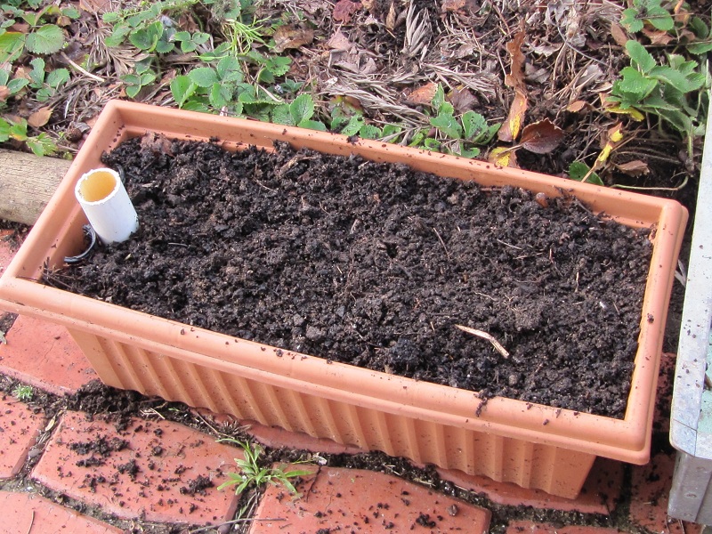wicking planter 10 filled with soil and ready to plant.jpg
