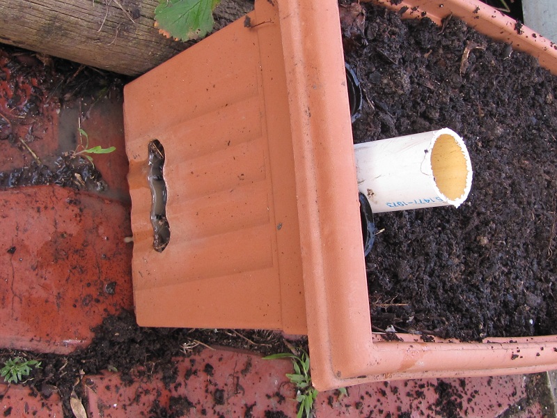 wicking planter 11 showing water overflowing from drainage slot.jpg