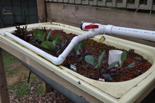 July 28_Growth is amazing (2).jpg