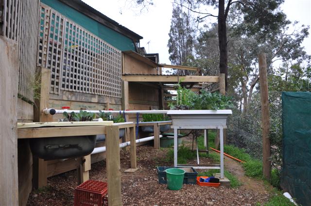 July 28_Growth is amazing.jpg