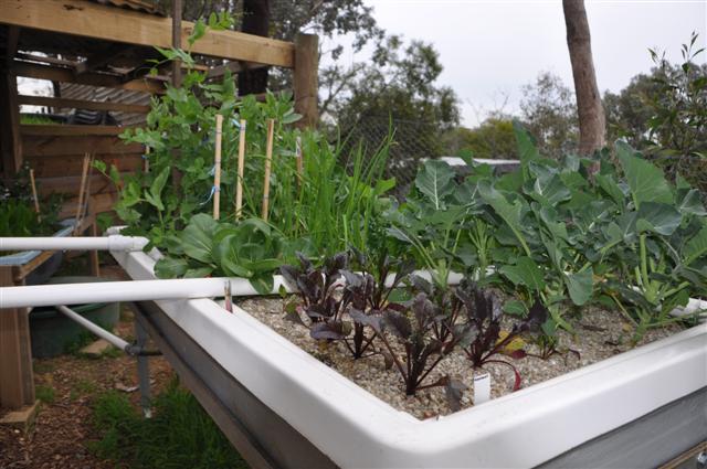 July 28_Growth is amazing (3).jpg