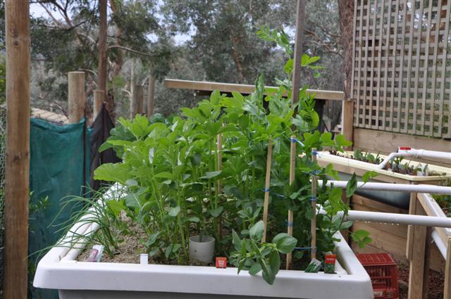 July 28_Growth is amazing (6).jpg