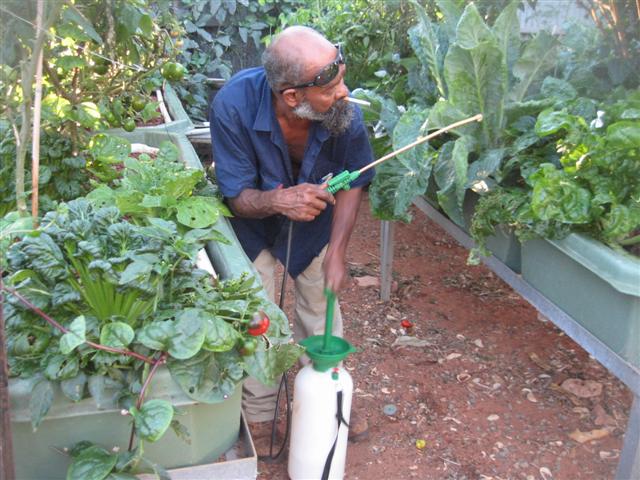 gemma 013 (Small).jpg