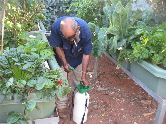 gemma 012 (Small).jpg