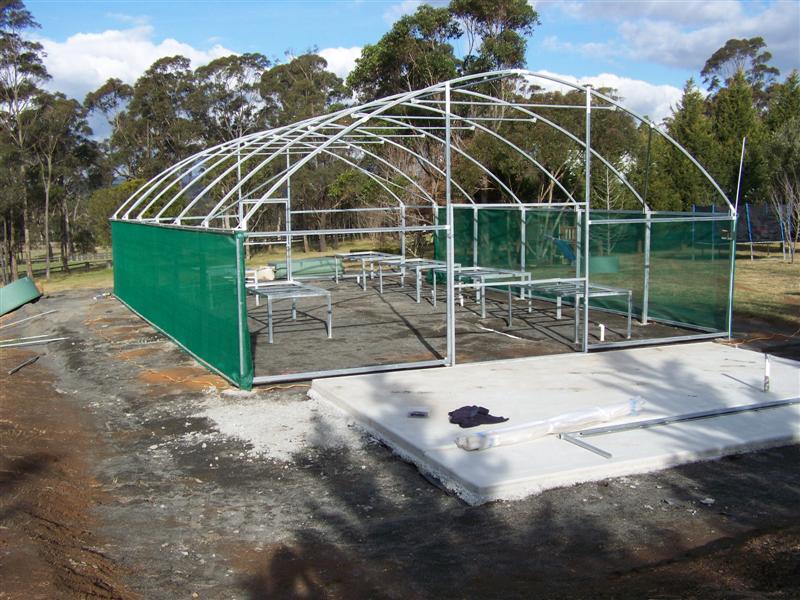 100_4905 (Medium).JPG