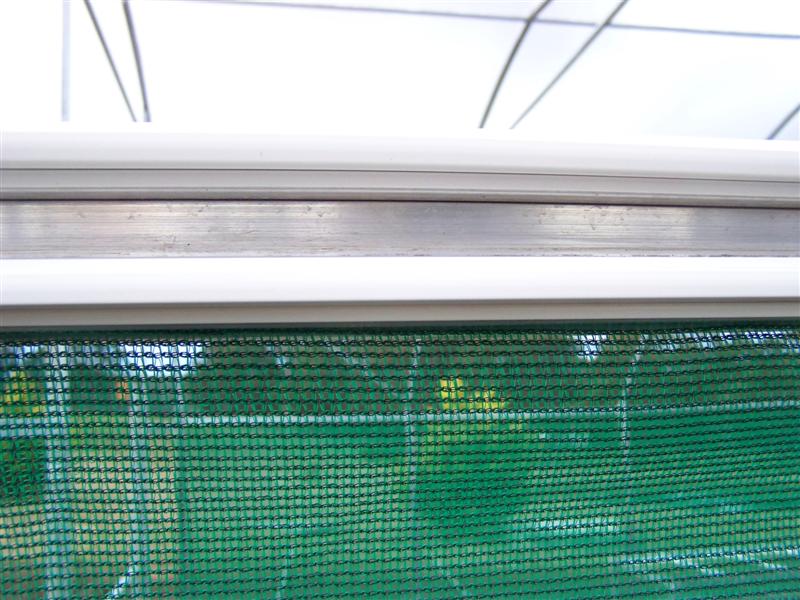 100_4907 (Medium).JPG