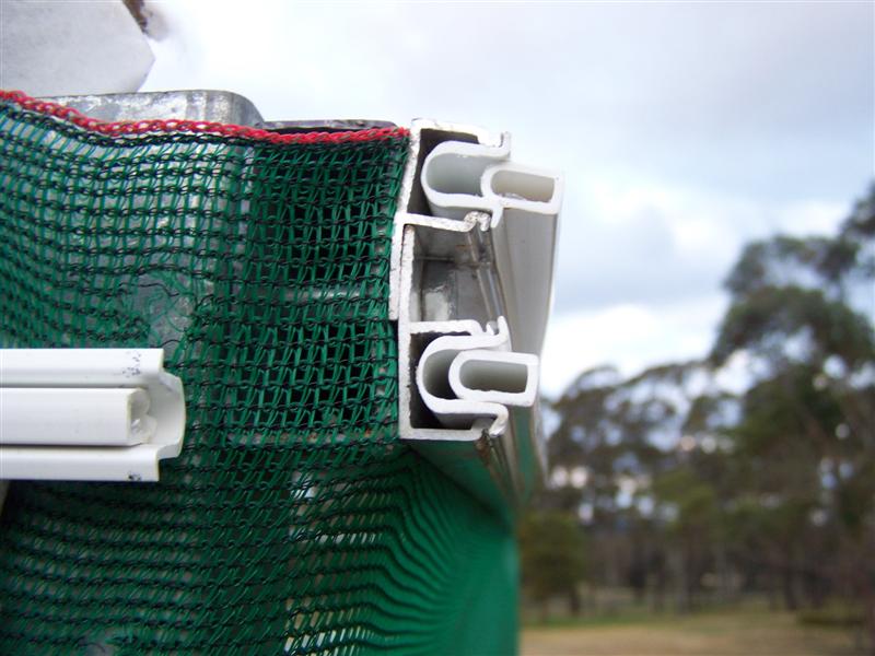 100_4908 (Medium).JPG