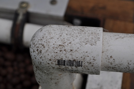 aquaponics mould.jpg