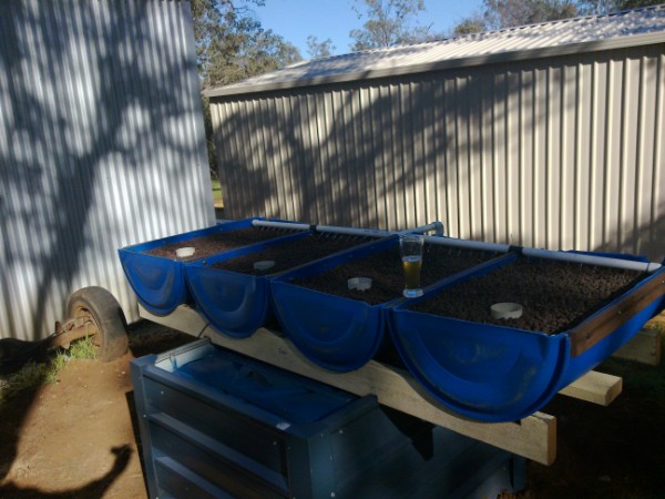 25072010049 (600 x 450).jpg