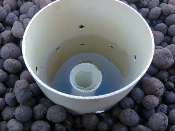 25072010046 (600 x 450).jpg