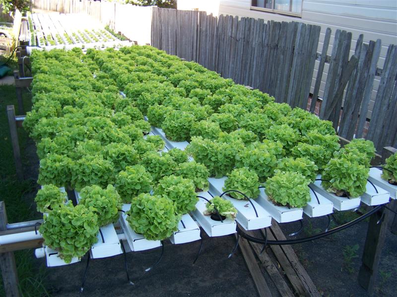 100_2275 (Medium).JPG