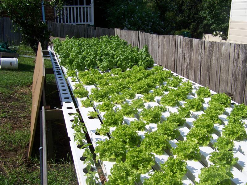 100_2342 (Medium).JPG