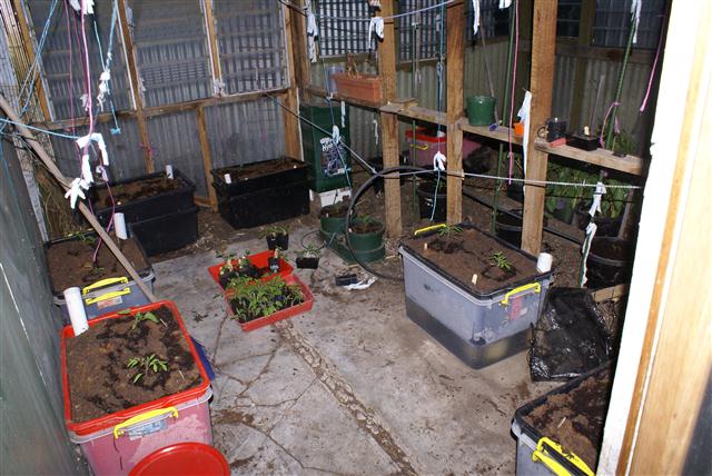 DSC02252 (Small).JPG