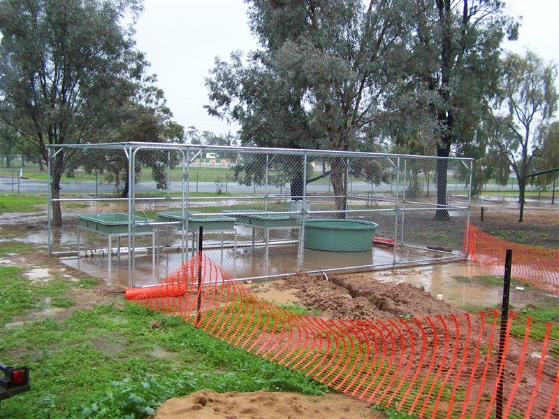 100_4932 (Custom).JPG