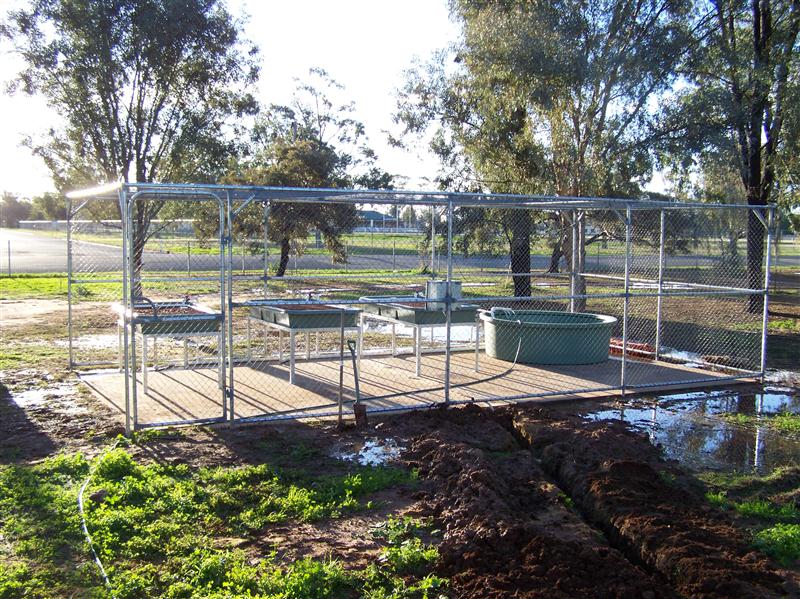 100_4965 (Custom).JPG