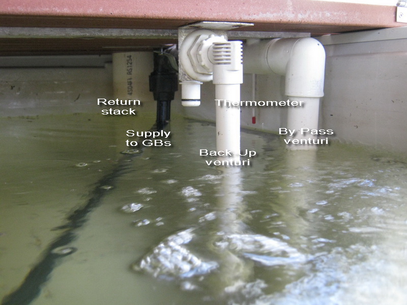 designaponics 003.jpg