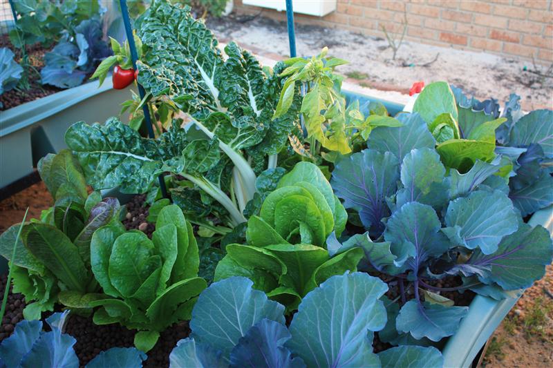 IMG_1422 (Custom).JPG